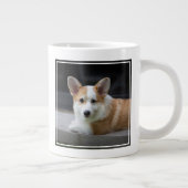 Cutest Baby Animals | Relaxing Corgi Puppy Grote Koffiekop (Rechts)