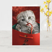 Cutest Baby Animals | Scottish Fold Kitten Kaart (Gele Bloem)