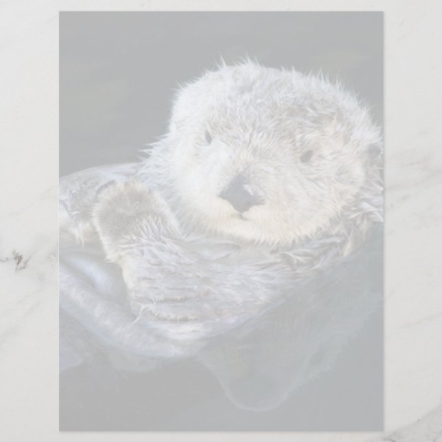 Cutest Baby Animals | Sea Otter Floating (Voorkant)