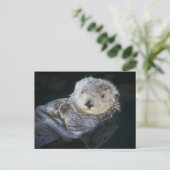 Cutest Baby Animals | Sea Otter Floating Briefkaart (Staand voorkant)
