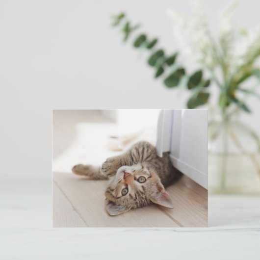 Cutest Baby Animals | Shorthair Tabby Kitten Briefkaart (Staand voorkant)