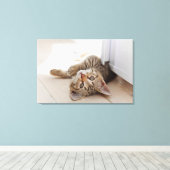 Cutest Baby Animals | Shorthair Tabby Kitten Canvas Afdruk (Insitu (Houten vloer))