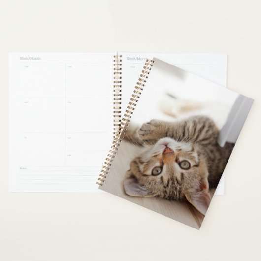 Cutest Baby Animals | Shorthair Tabby Kitten Planner (Display)