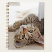 Cutest Baby Animals | Shorthair Tabby Kitten Planner (Voorkant)