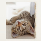 Cutest Baby Animals | Shorthair Tabby Kitten Planner (Achterkant)