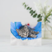 Cutest Baby Animals | Tabby Kitten in Play Tunnel Briefkaart (Staand voorkant)