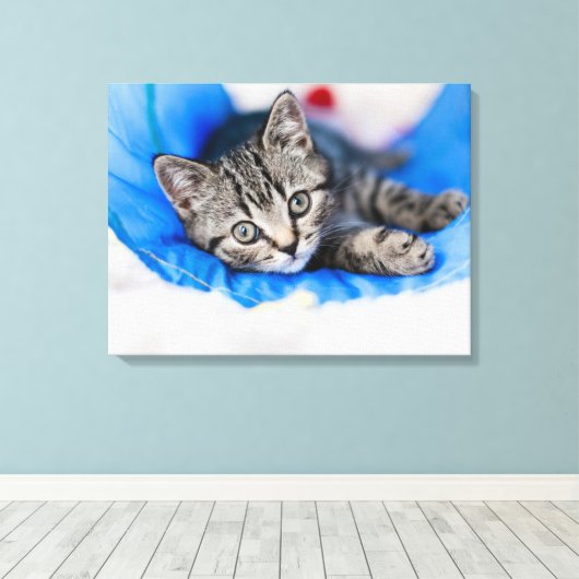 Cutest Baby Animals | Tabby Kitten in Play Tunnel Canvas Afdruk (Insitu (Houten vloer))