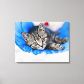 Cutest Baby Animals | Tabby Kitten in Play Tunnel Canvas Afdruk (Voorkant)