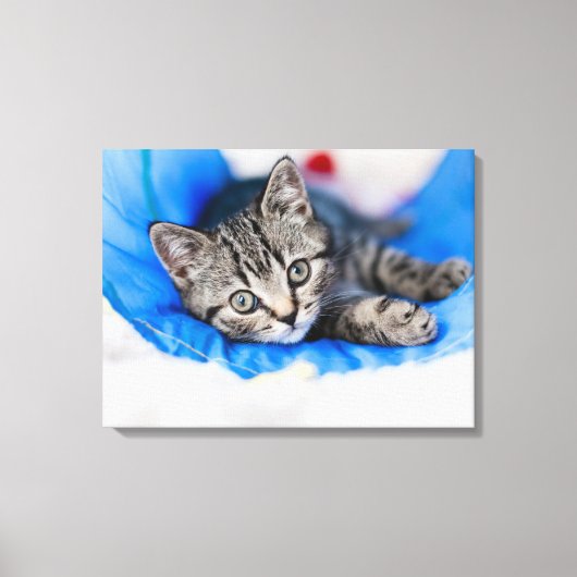 Cutest Baby Animals | Tabby Kitten in Play Tunnel Canvas Afdruk (Voorkant)