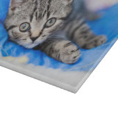 Cutest Baby Animals | Tabby Kitten in Play Tunnel Snijplank (Hoek)