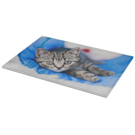 Cutest Baby Animals | Tabby Kitten in Play Tunnel Snijplank (Hoek)