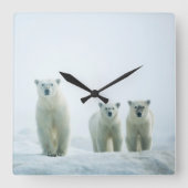 Cutest Baby Animals | Three Young Polar Bears Vierkante Klok (Voorkant)