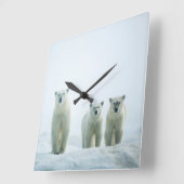 Cutest Baby Animals | Three Young Polar Bears Vierkante Klok (Hoek)
