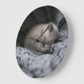 Cutest Baby Animals | Tiny Kitten Sleeping Grote Klok (Hoek)