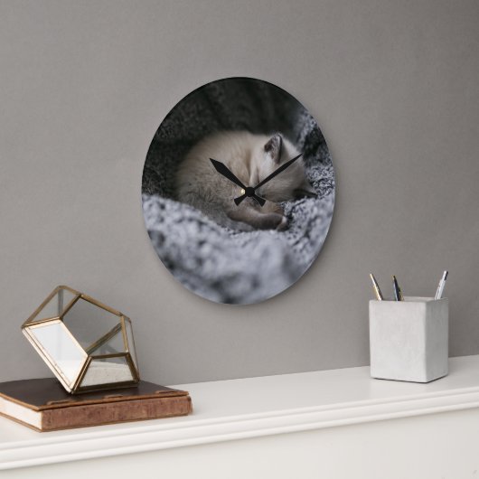Cutest Baby Animals | Tiny Kitten Sleeping Grote Klok (Kantoor)