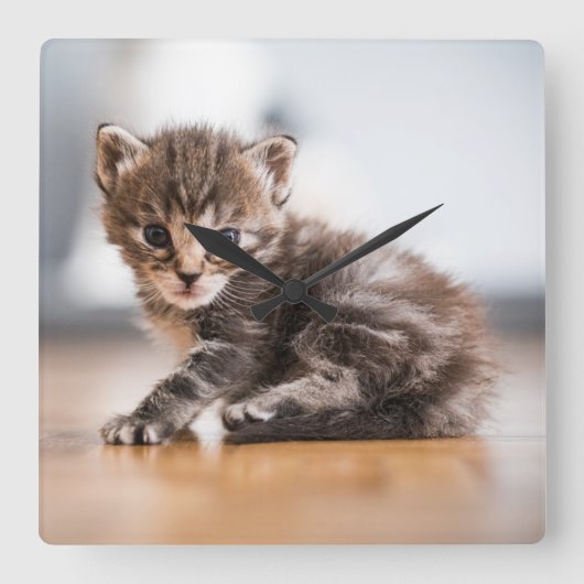 Cutest Baby Animals | Tiny Tabby Kitten Vierkante Klok (Voorkant)