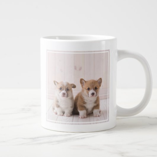 Cutest Baby Animals | Two Baby Corgis Sitting Grote Koffiekop (Rechts)