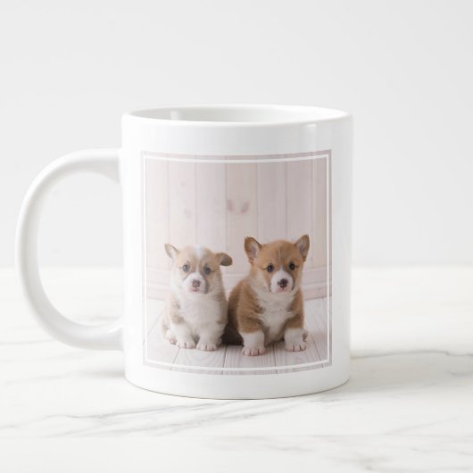 Cutest Baby Animals | Two Baby Corgis Sitting Grote Koffiekop (Links)
