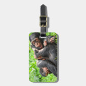 Cutest Baby Animals | Two Young Chimpanzees Bagagelabel (Voorkant verticaal)
