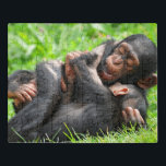 Cutest Baby Animals | Two Young Chimpanzees Puzzel<br><div class="desc">This Getty Cutest Baby Animals photo features two young male chimpanzees playing together.</div>