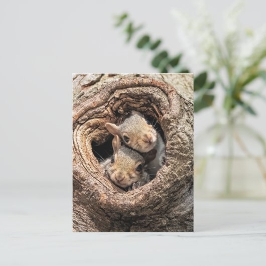 Cutest Baby Animals | Two Young Squirrels Briefkaart (Staand voorkant)