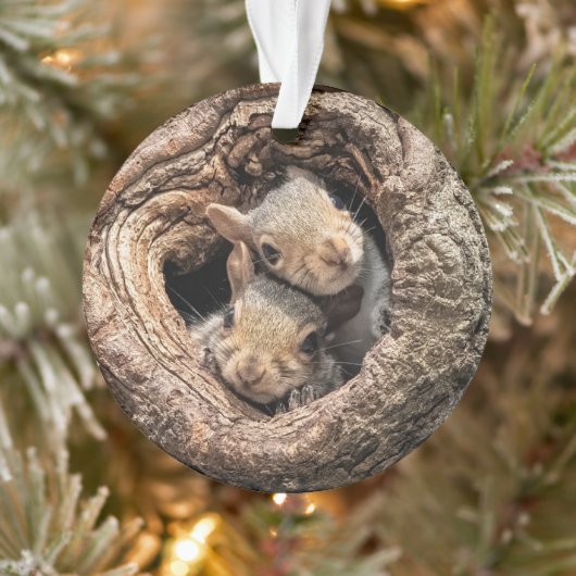 Cutest Baby Animals | Two Young Squirrels Ornament (Boom)