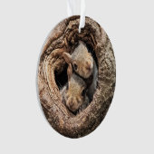 Cutest Baby Animals | Two Young Squirrels Ornament (voorkant)