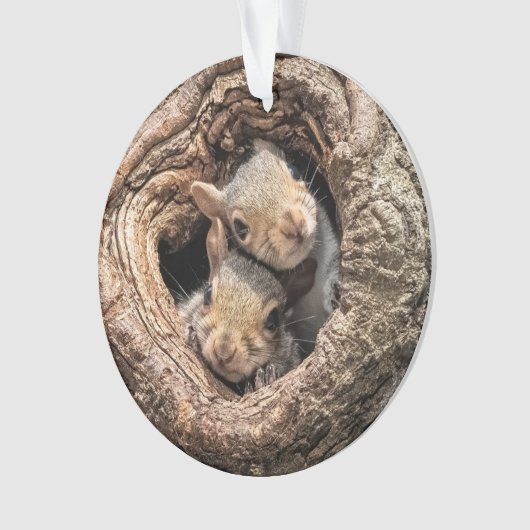 Cutest Baby Animals | Two Young Squirrels Ornament (voorkant)