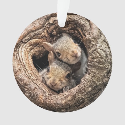 Cutest Baby Animals | Two Young Squirrels Ornament (voorkant)
