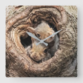Cutest Baby Animals | Two Young Squirrels Vierkante Klok (Voorkant)