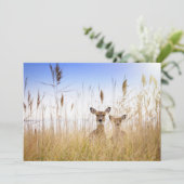 Cutest Baby Animals | Two Young White Tailed Deer Bedankkaart (Staand voorkant)