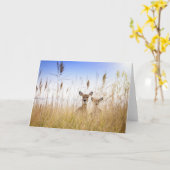 Cutest Baby Animals | Two Young White Tailed Deer Kaart (Gele Bloem)