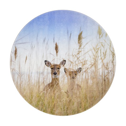 Cutest Baby Animals | Two Young White Tailed Deer Snijplank (Voorkant)