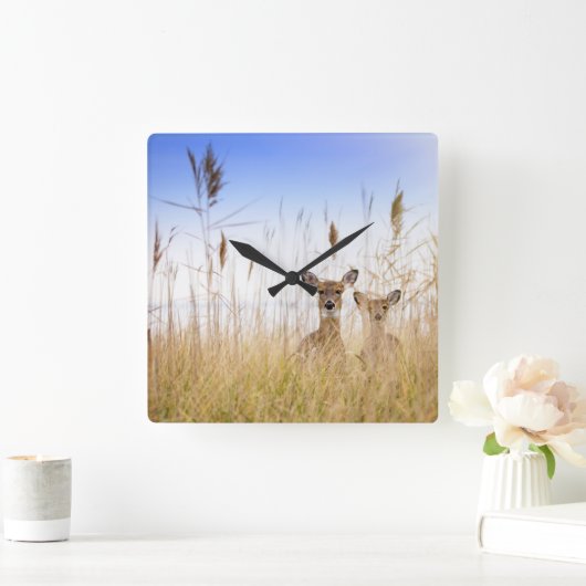 Cutest Baby Animals | Two Young White Tailed Deer Vierkante Klok (Huis)