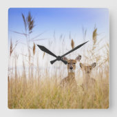 Cutest Baby Animals | Two Young White Tailed Deer Vierkante Klok (Voorkant)