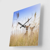 Cutest Baby Animals | Two Young White Tailed Deer Vierkante Klok (Hoek)