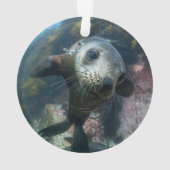 Cutest Baby Animals | Underwater Cape Fur Seal Ornament (achterkant)