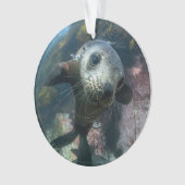 Cutest Baby Animals | Underwater Cape Fur Seal Ornament (voorkant)