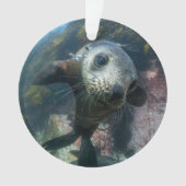 Cutest Baby Animals | Underwater Cape Fur Seal Ornament (voorkant)
