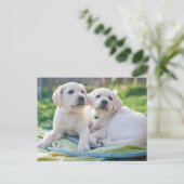 Cutest Baby Animals | Yellow Labrador Retrievers Briefkaart (Staand voorkant)
