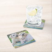 Cutest Baby Animals | Yellow Labrador Retrievers Kartonnen Onderzetters (Insitu)