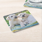 Cutest Baby Animals | Yellow Labrador Retrievers Kartonnen Onderzetters (Schuin)