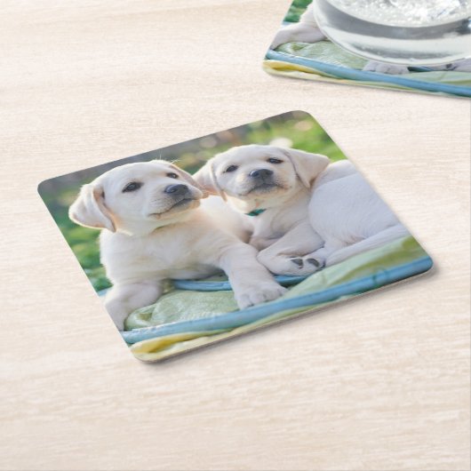 Cutest Baby Animals | Yellow Labrador Retrievers Kartonnen Onderzetters (Schuin)