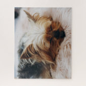 Cutest Baby Animals | Yorkshire Terrier Legpuzzel (Verticaal)