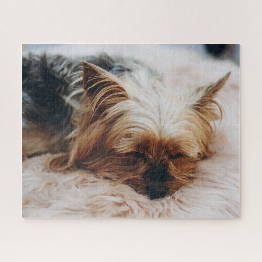 Cutest Baby Animals | Yorkshire Terrier Legpuzzel (Horizontaal)