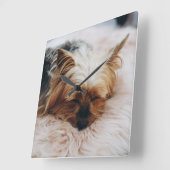 Cutest Baby Animals | Yorkshire Terrier Vierkante Klok (Hoek)