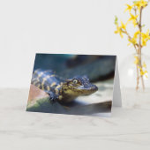 Cutest Baby Animals | Young Alligator Kaart (Gele Bloem)