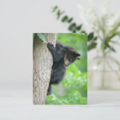 Cutest Baby Animals | Young Black Bear Cub Briefkaart (Staand voorkant)