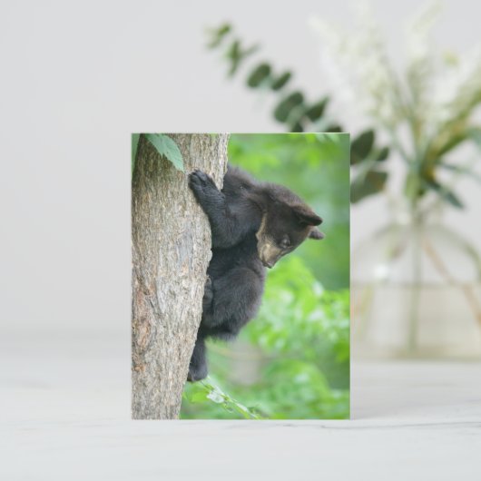 Cutest Baby Animals | Young Black Bear Cub Briefkaart (Staand voorkant)