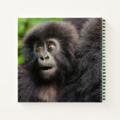 Cutest Baby Animals | Young Mountain Gorilla Notitieboek (Achterkant)